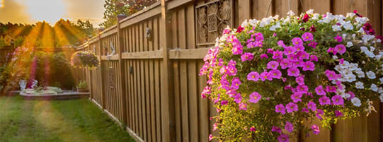 How to Decorate Your Garden Fence for Spring
